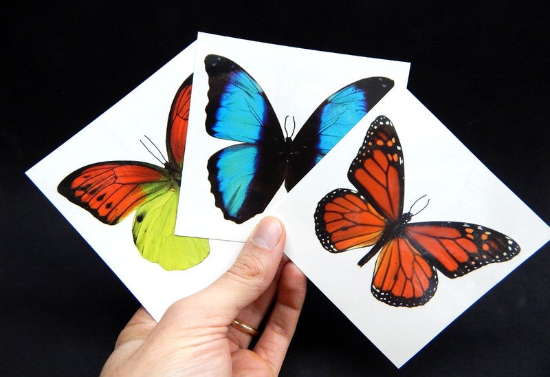Butterfly Utopia Large Butterfly Temporary Tattoos by Butterfly Utopia (12 Sheets) - Image 5